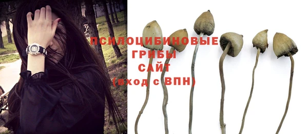прущая мука Волоколамск