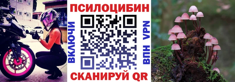 Галлюциногенные грибы MAGIC MUSHROOMS  Купить закладки  Суздаль 